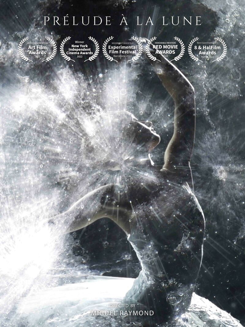 Prélude à la Lune - a Video Art by Raymond Miguel